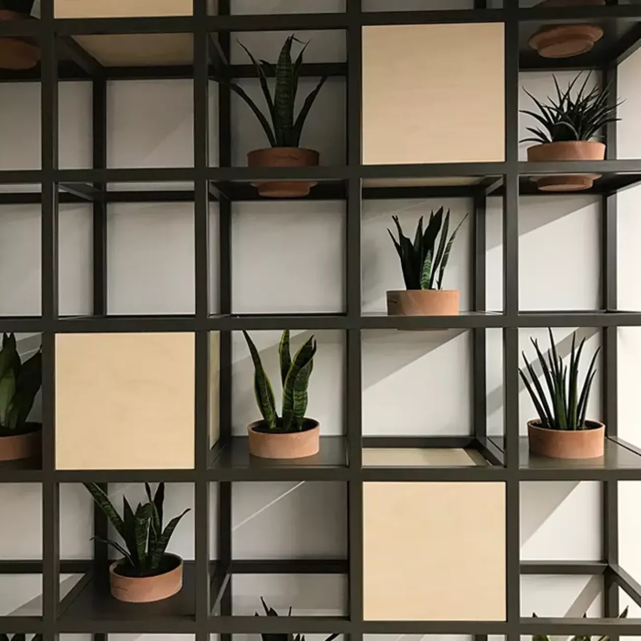 Green-wall et bibliothèque en métal industriel, un meuble sur mesure pour intérieur moderne.